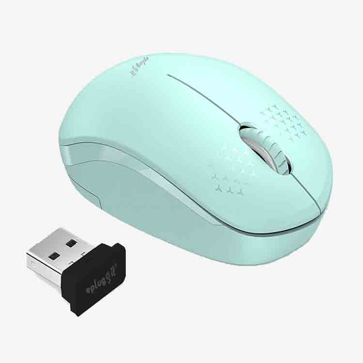 WM111 Wireless mouse