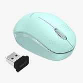 WM111 Wireless mouse